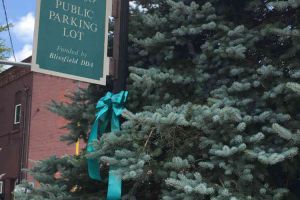 Blissfield Michigan Lamp Post Tealed Evergreen