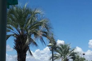 Pensacola FL Ribbons Lamp Post